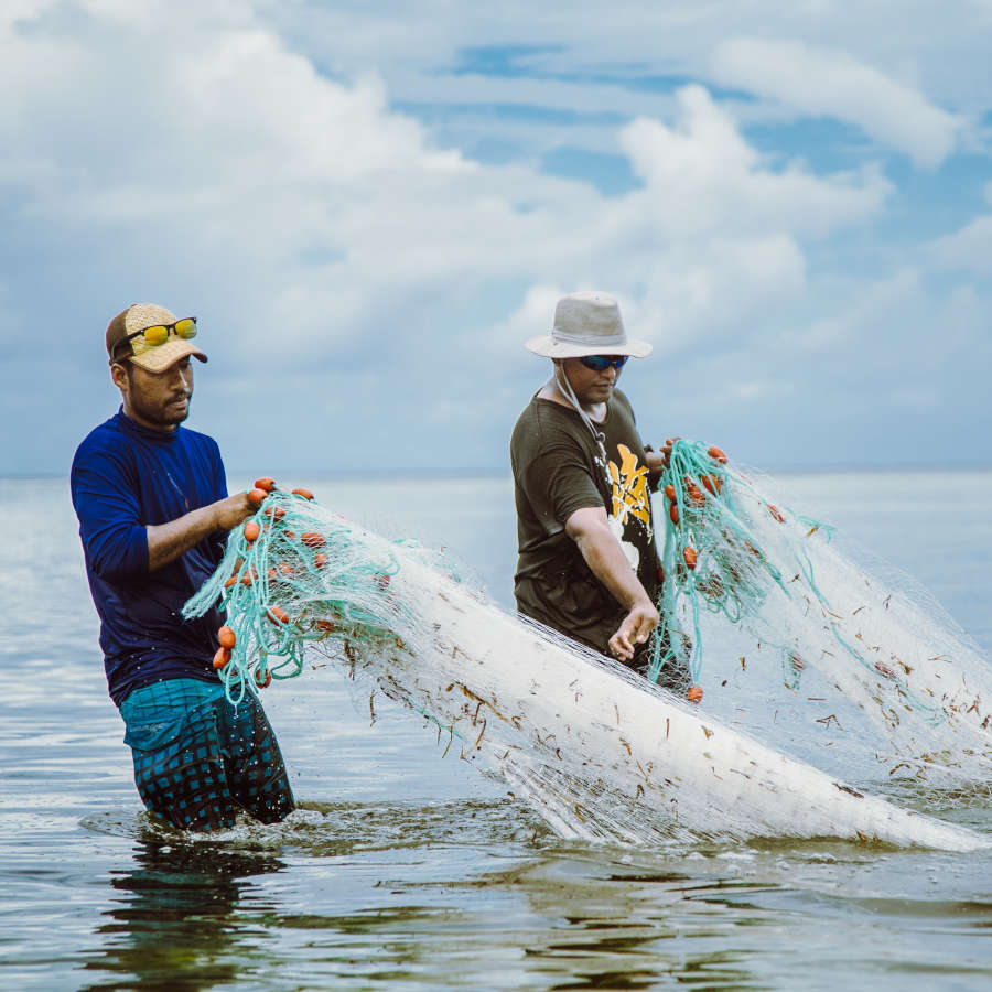 Fishermen catching tuna with their net